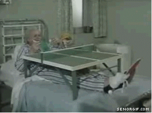 image1.gif