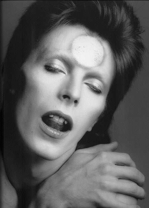 DavidBowie_Sukita3.jpg