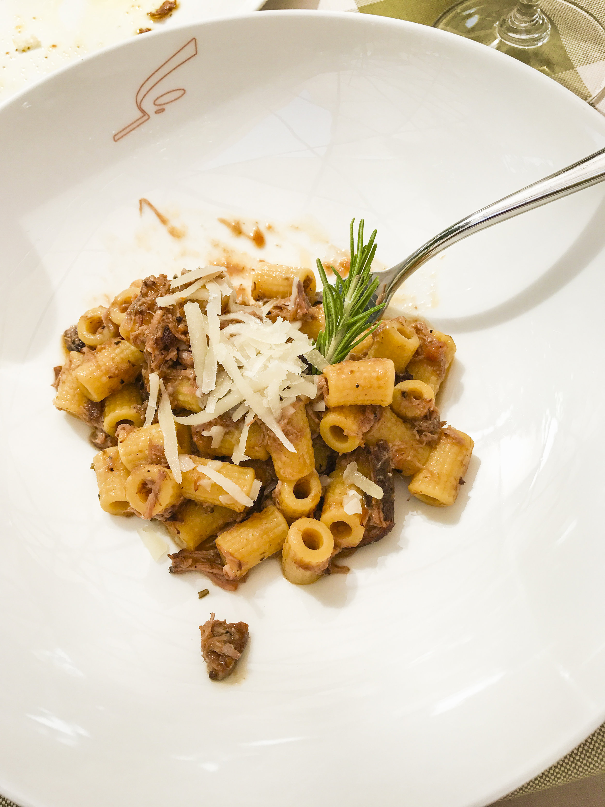 Maccheroncelli al sugo di anatra ~ short macaroni pasta with Tuscan style duck ragout
