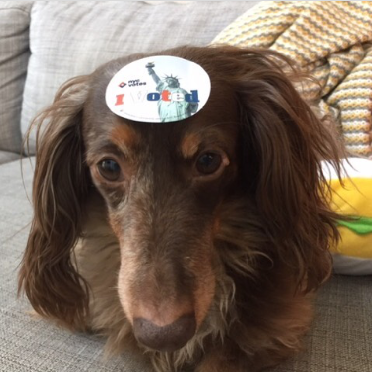 ivoted_14.png