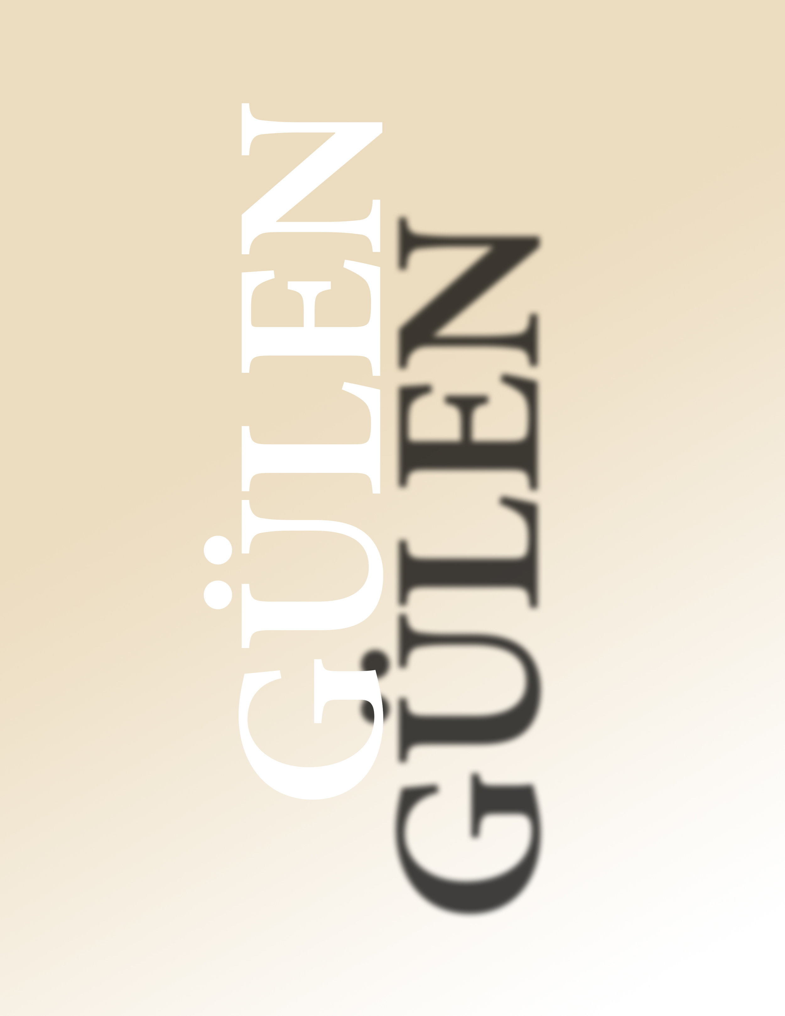 I WORKED FOR A GÜLEN MOVEMENT SCHOOL